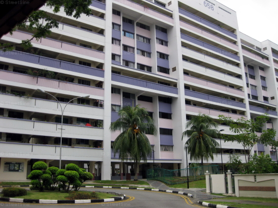 Blk 658 Hougang Avenue 8 (Hougang), HDB 3 Rooms #242122